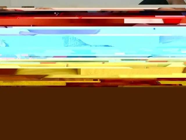 Hairysquiter on BongaCams