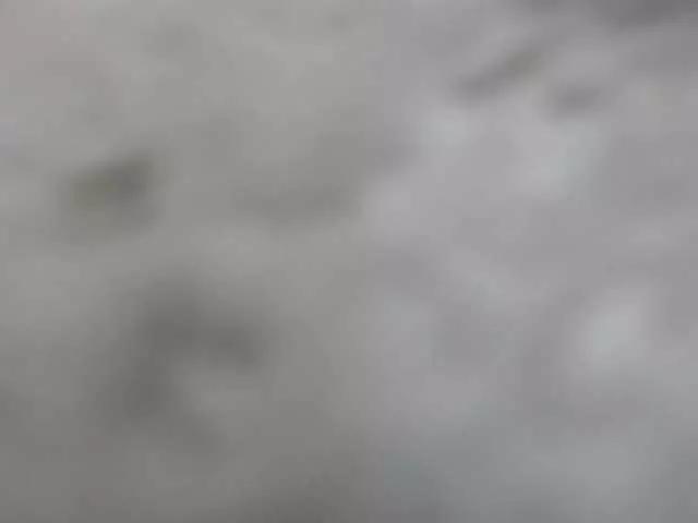 Krystin1 on BongaCams