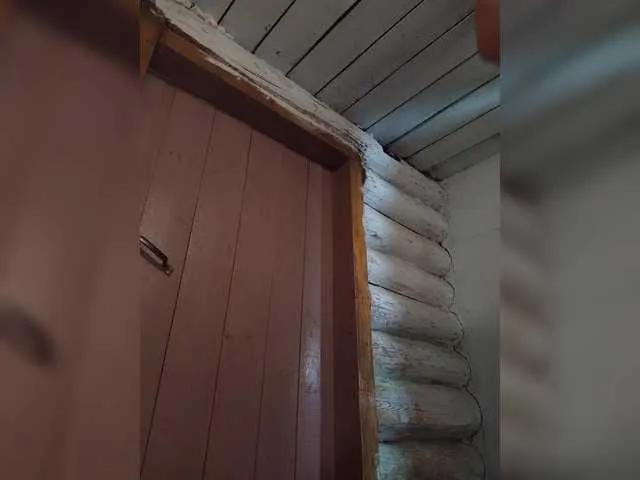 Mussypussy222 on BongaCams