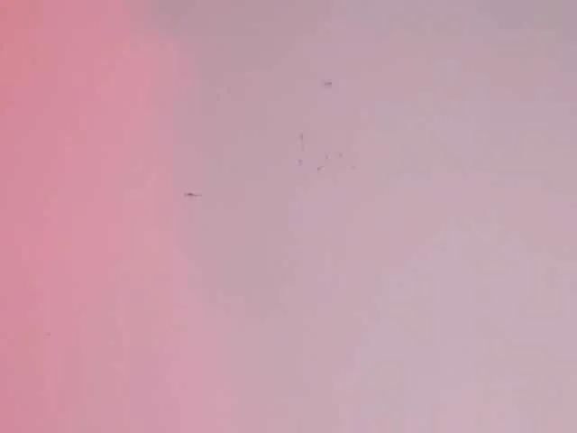 Pamela-Velvet on BongaCams