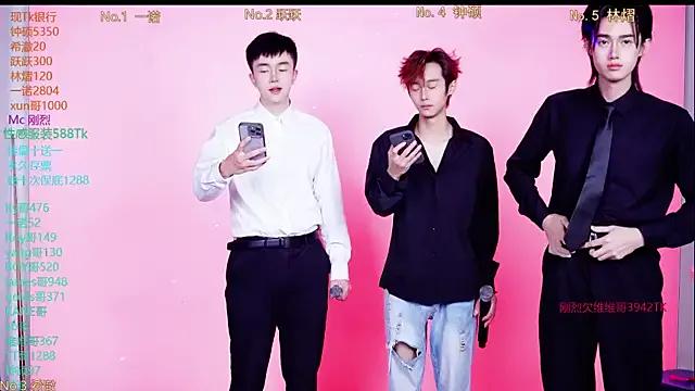 Boygayhouse — Freechat on StripChat