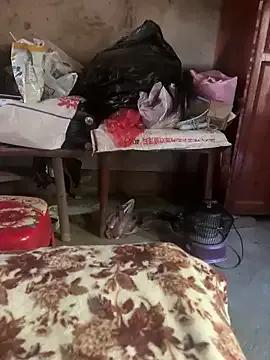 chenyu0308 on StripChat