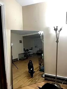 DaddySnowXX on StripChat