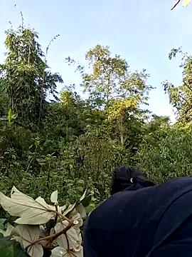 diamond-- on StripChat