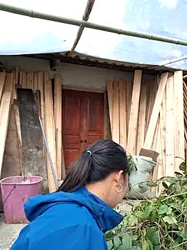 diamond-- on StripChat