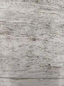 hot_plak on StripChat