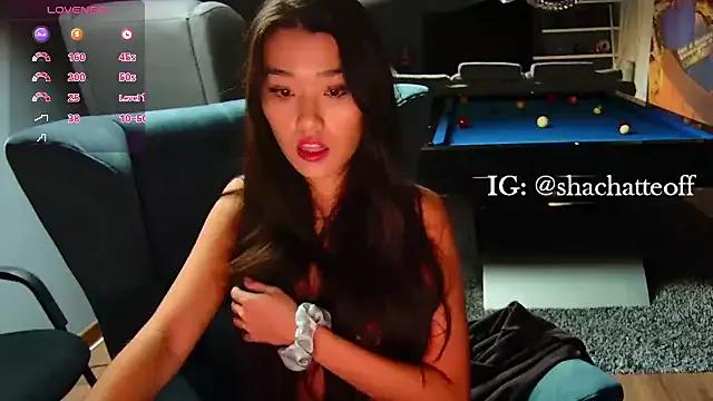 shachatteof on StripChat