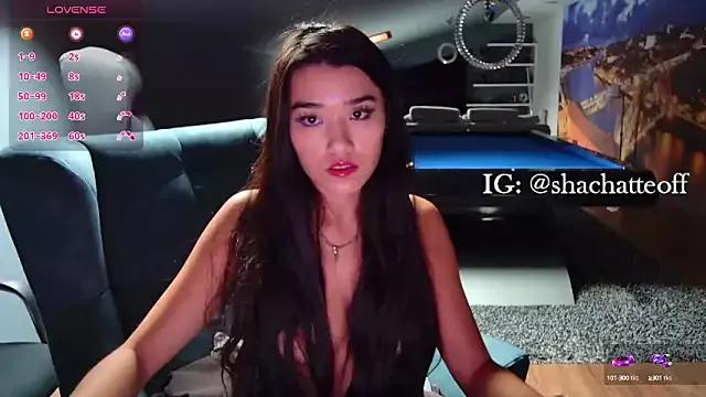 shachatteof on StripChat