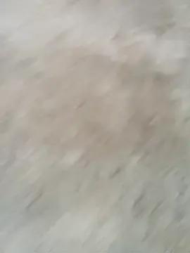 Shani_Izu on StripChat