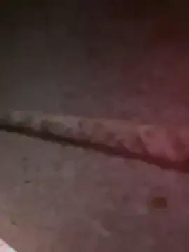 siorin_18 on StripChat